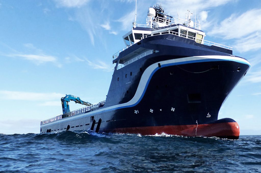 pesci marine crane off shore