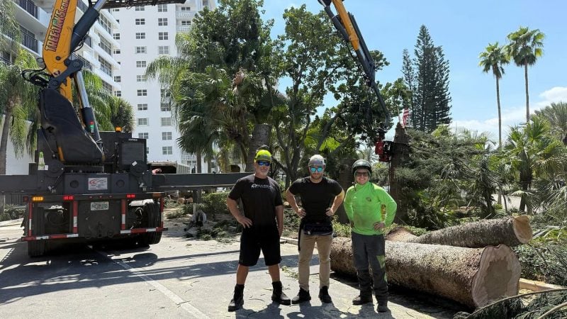 650 tree jaws