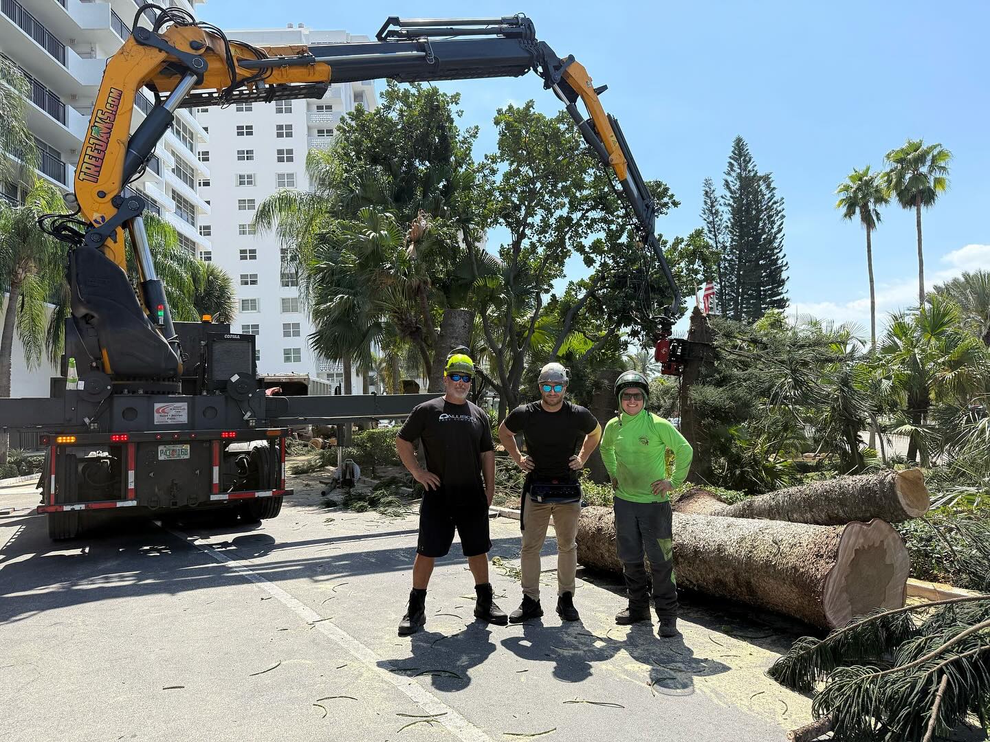 650 tree jaws